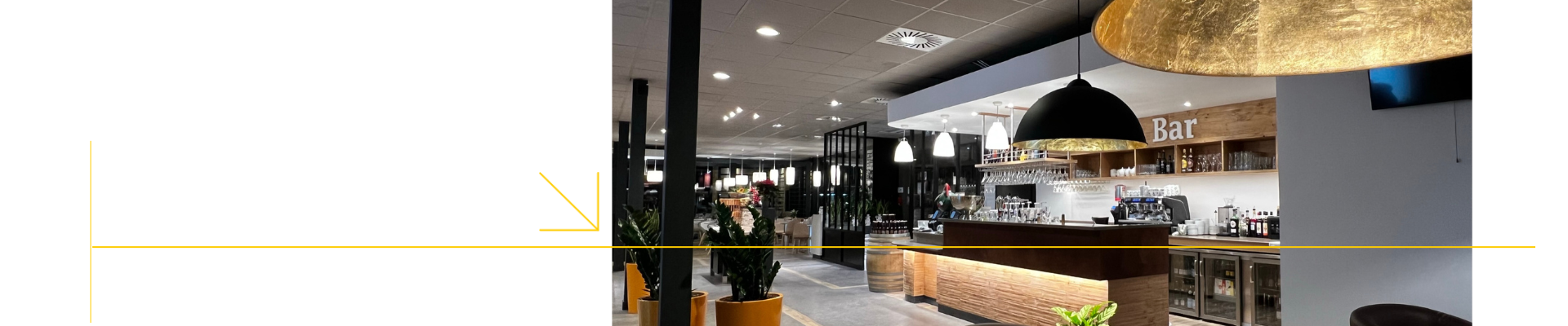 franchise restauration comptoir alice